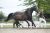 11-FourlegendsPaintedblack-7