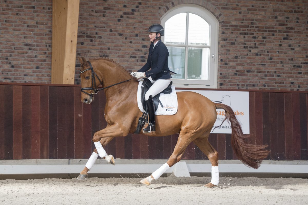 Fiskus-Furstselection-4