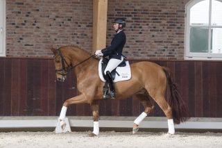 Fiskus-Furstselection-7