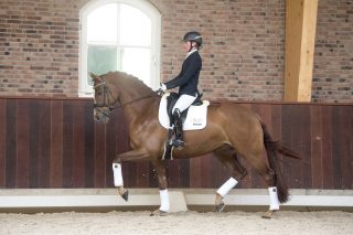 IvorSlottie-ApacheCabochon-4