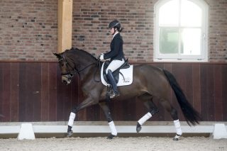 JambalayaaUtopia-UphillDarlington-4