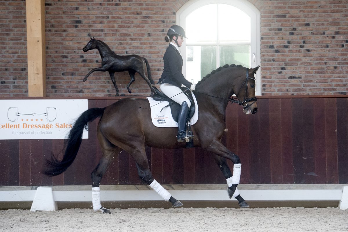 JambalayaaUtopia-UphillDarlington-8