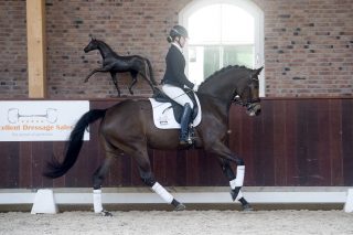 JambalayaaUtopia-UphillDarlington-8