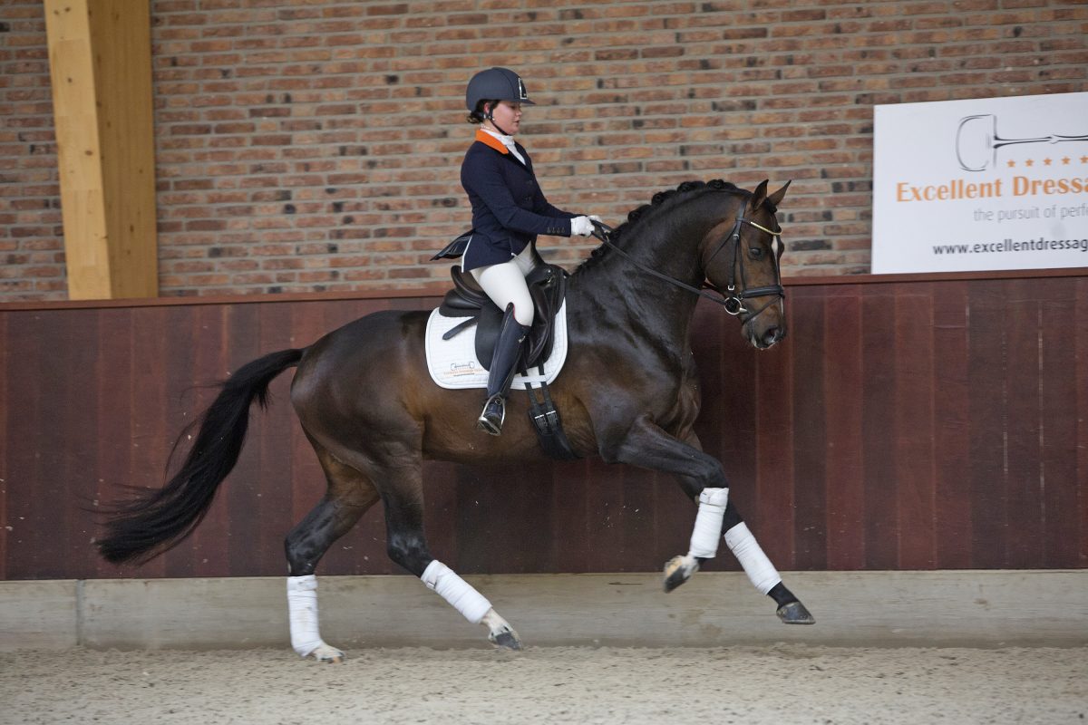 Vrijdag Hyde Johnson Oo Seven_13