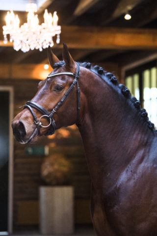 13. FranziskusXDeniro-1