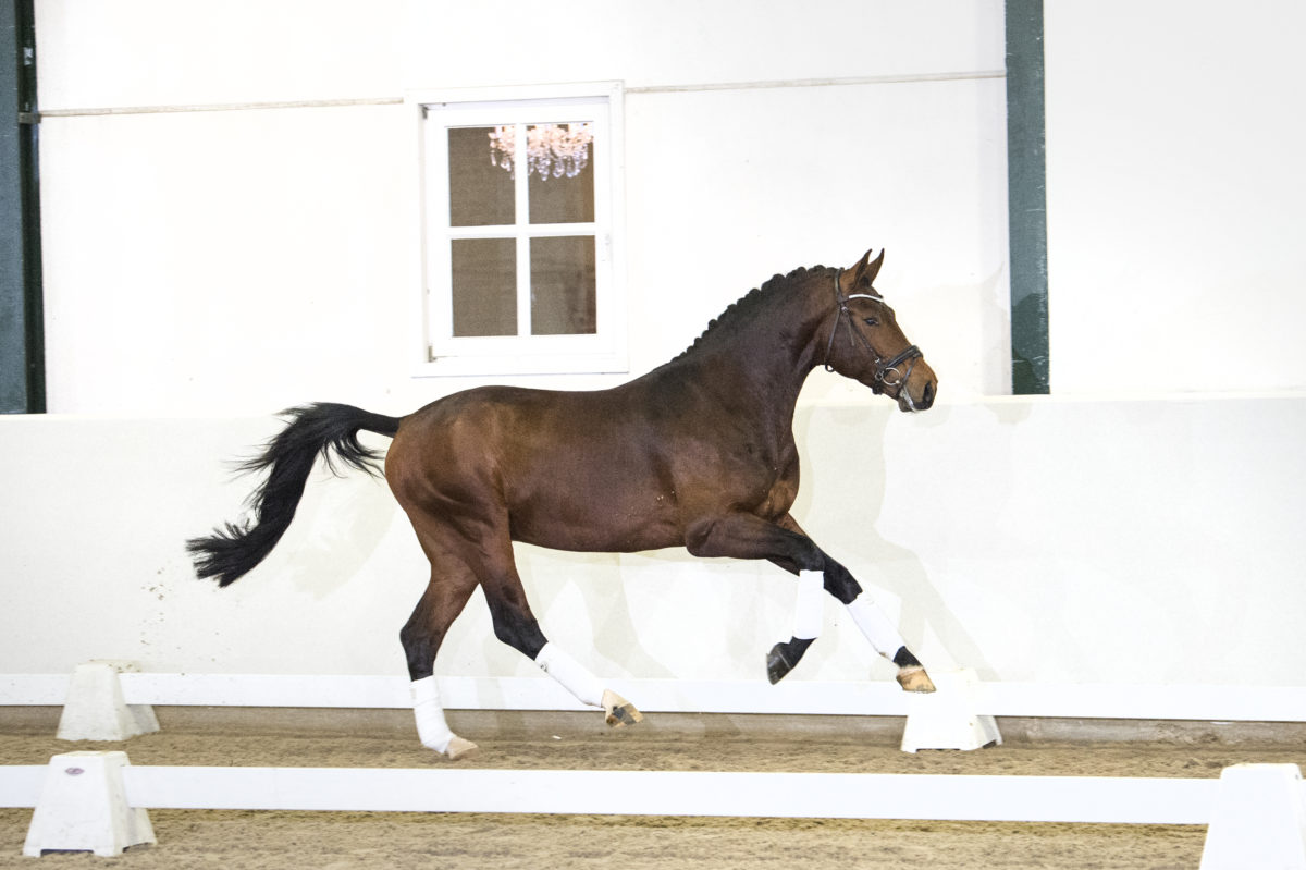 13. FranziskusXDeniro-3