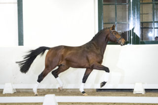 13. FranziskusXDeniro-4