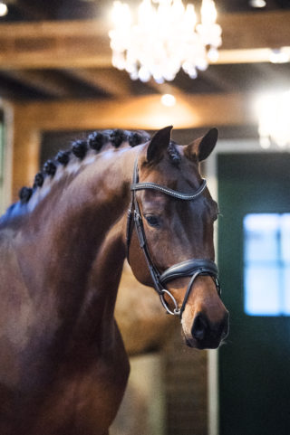 14. DreamboyXDayano-1