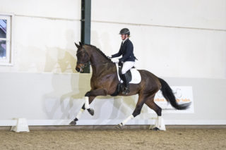 14. DreamboyXDayano-11