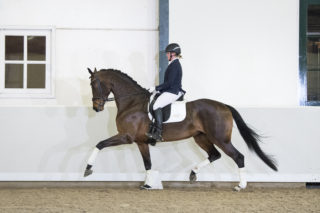 14. DreamboyXDayano-9