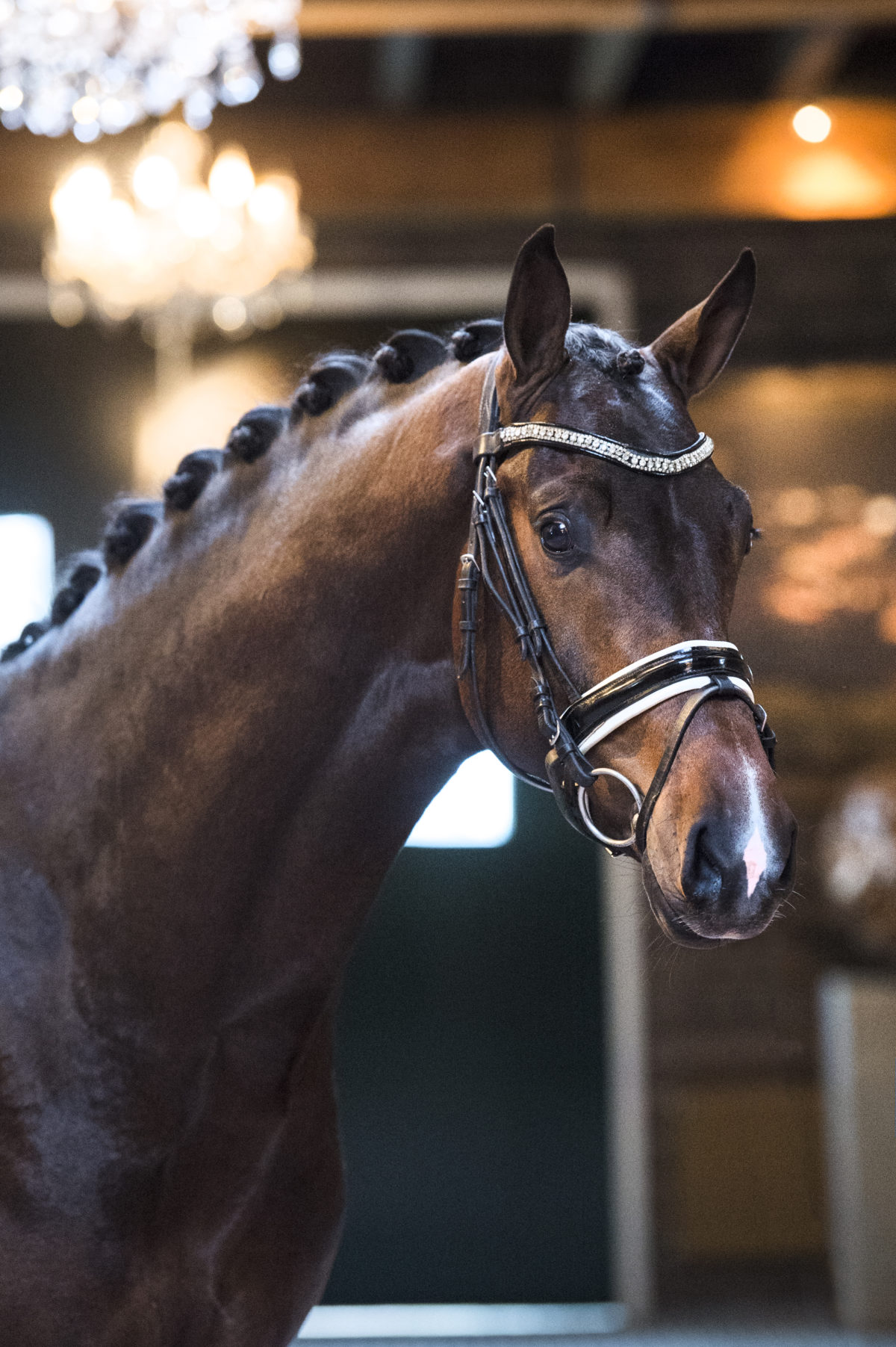 26. BorsalinoXDeNiro-1