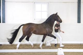 26. BorsalinoXDeNiro-3