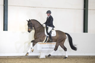 36. BrettonwoodsXKansasC-3