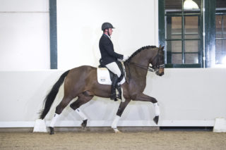 36. BrettonwoodsXKansasC-8