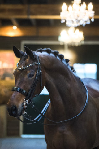 39. HotlineXFlemmingh-1