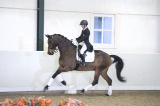 39. HotlineXFlemmingh-12