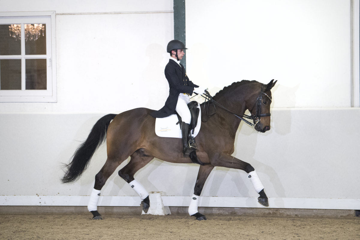 39. HotlineXFlemmingh-5