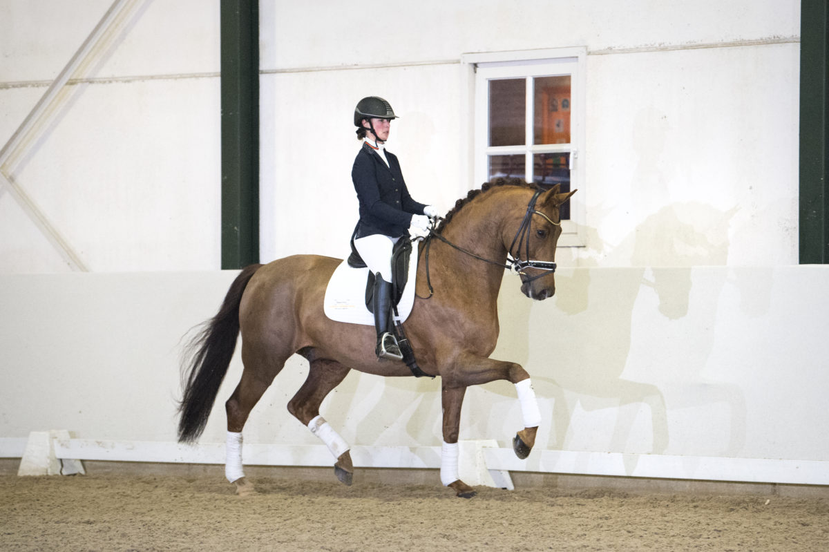 44. Honoree JazzXKrack C-6