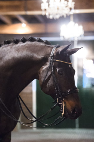 47. GribaldiXKennedy-1