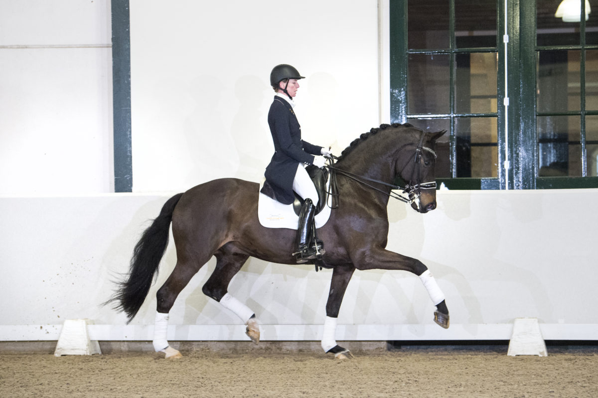 47. GribaldiXKennedy-5