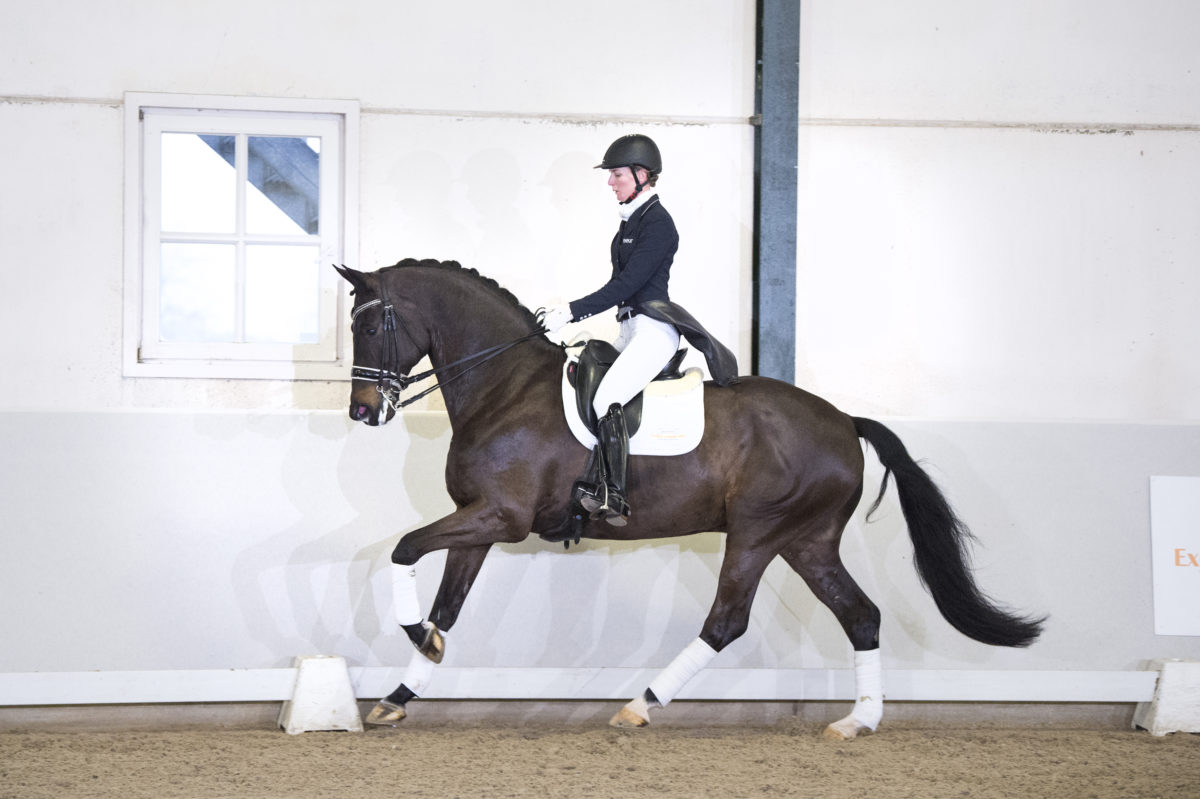 47. GribaldiXKennedy-8