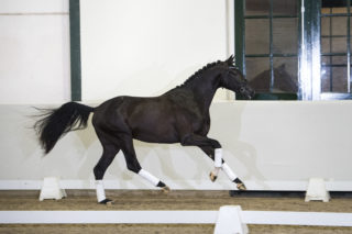 5. FerdeauxXApache-3