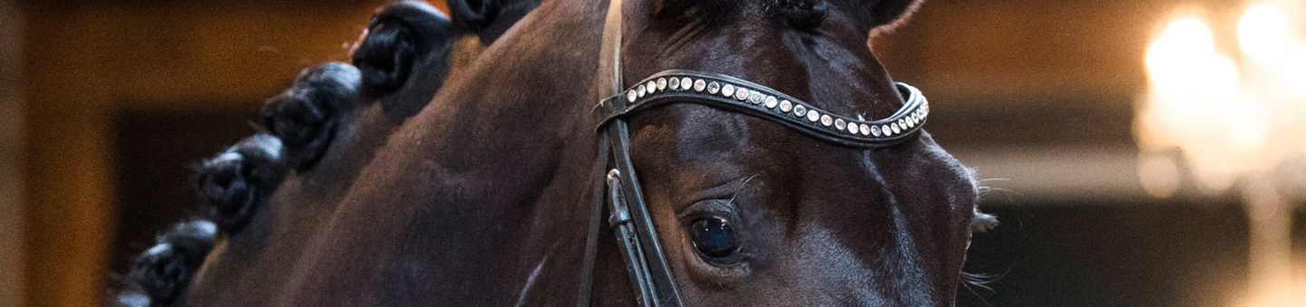 Charming Lady (v. Painted Black)