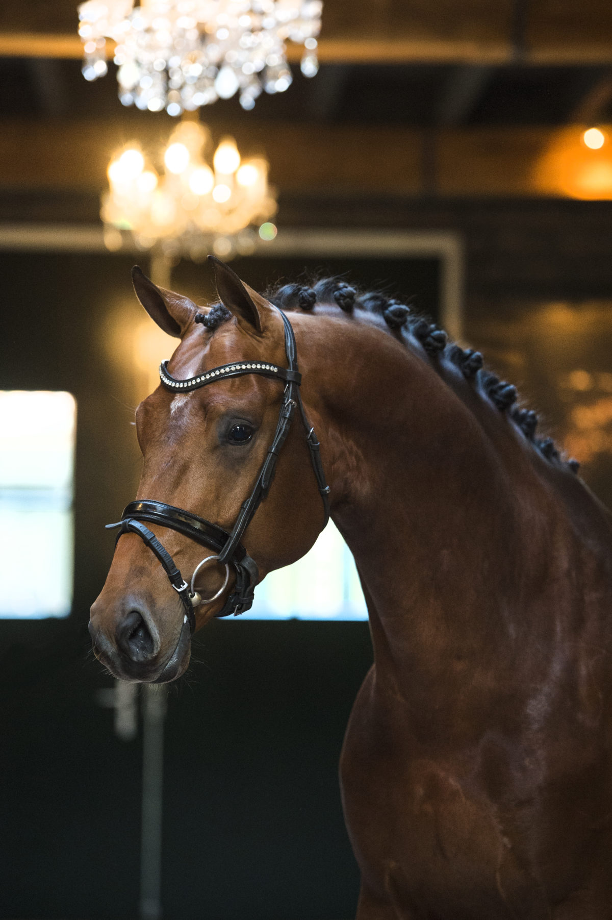 11. JohnsonXSpielberg-1