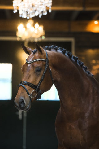 11. JohnsonXSpielberg-1