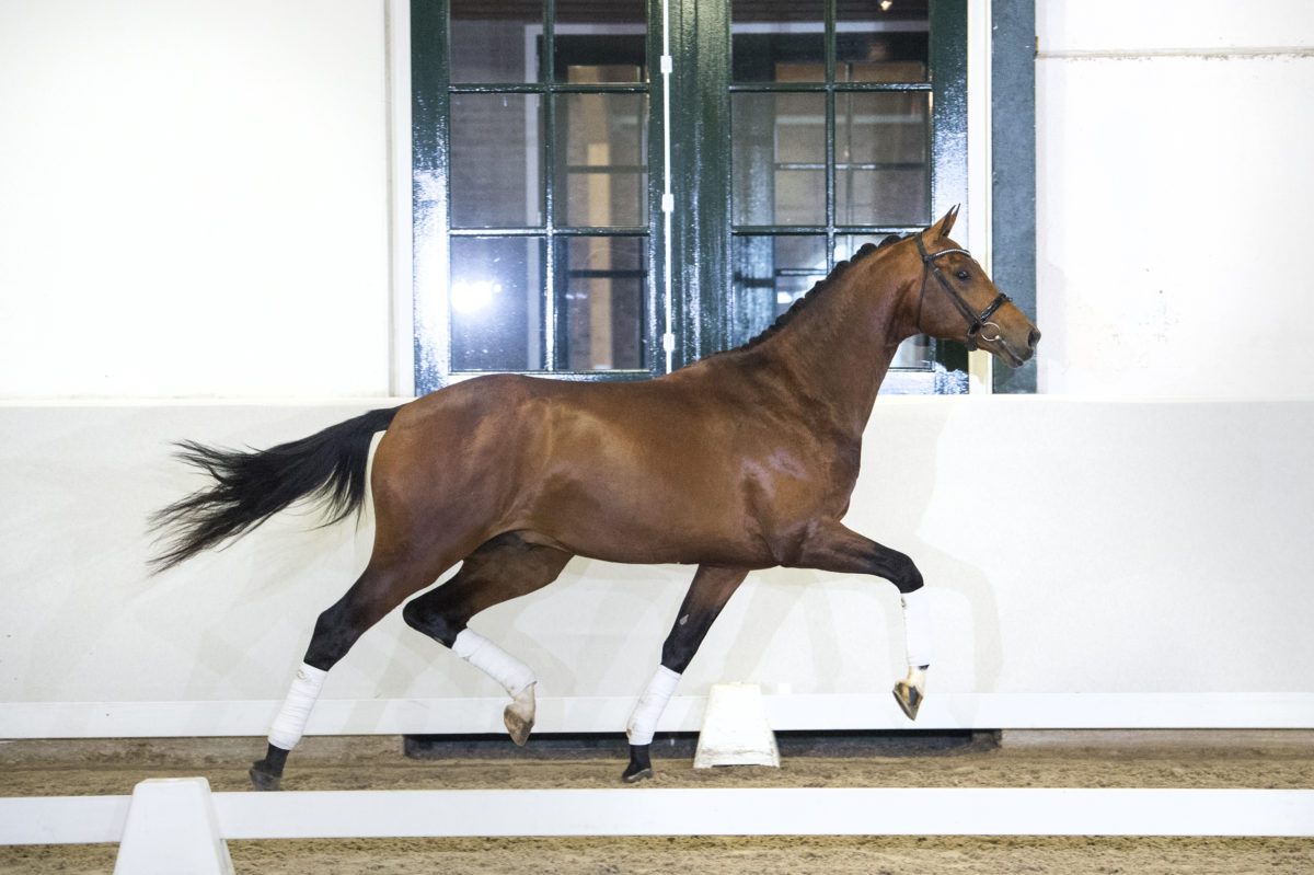 11. JohnsonXSpielberg-4