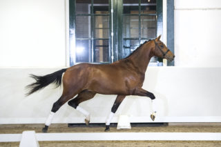 11. JohnsonXSpielberg-4