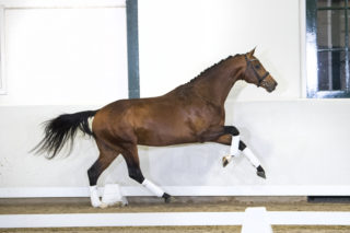 11. JohnsonXSpielberg-8