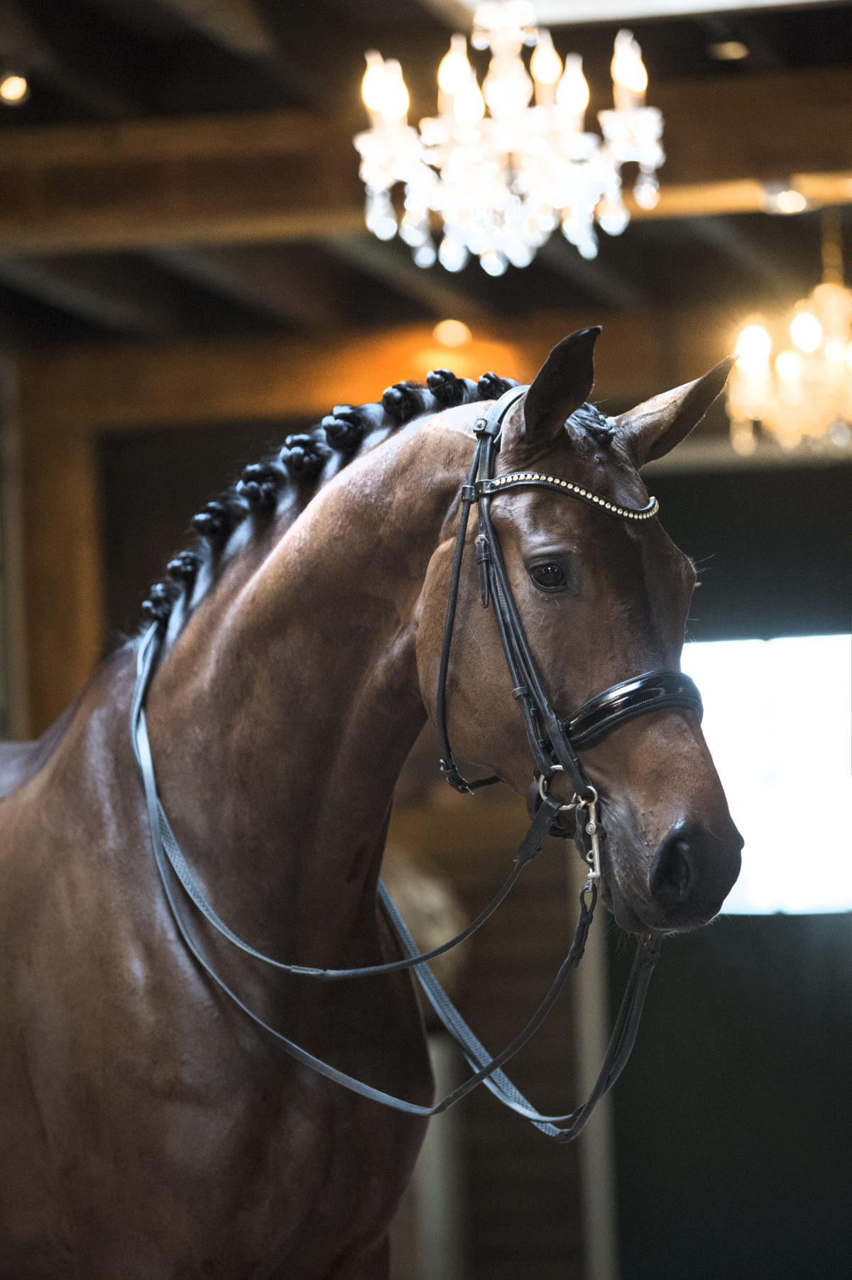 30. CharmeurXRonaldo-1