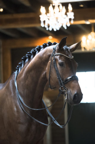 30. CharmeurXRonaldo-1