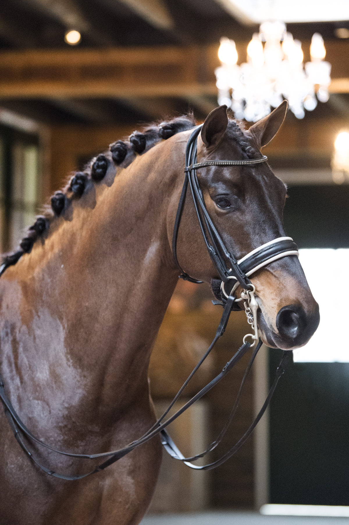 36. BrettonwoodsXKansasC-1