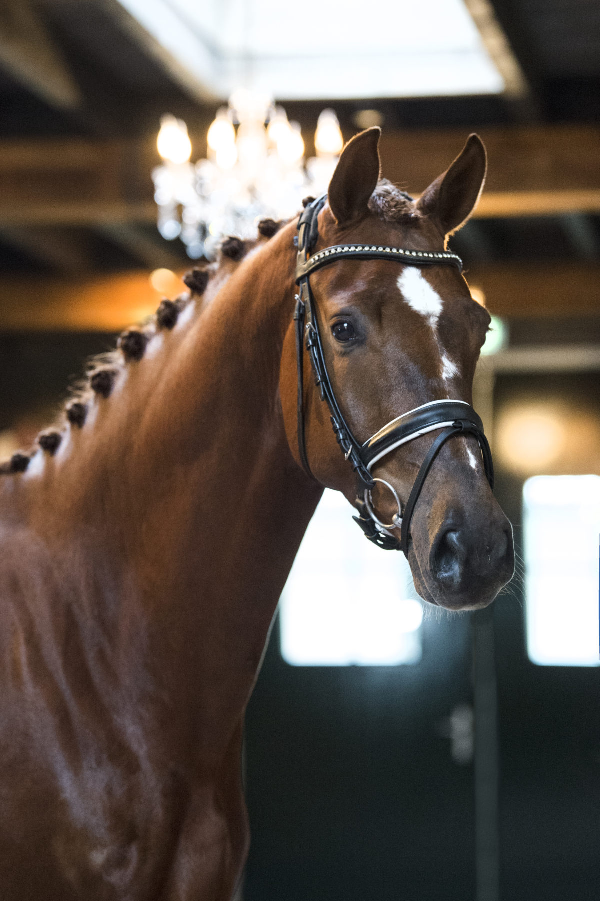 37. AllatonceXLaudablis-1