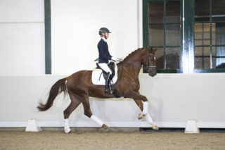 37. AllatonceXLaudablis-14