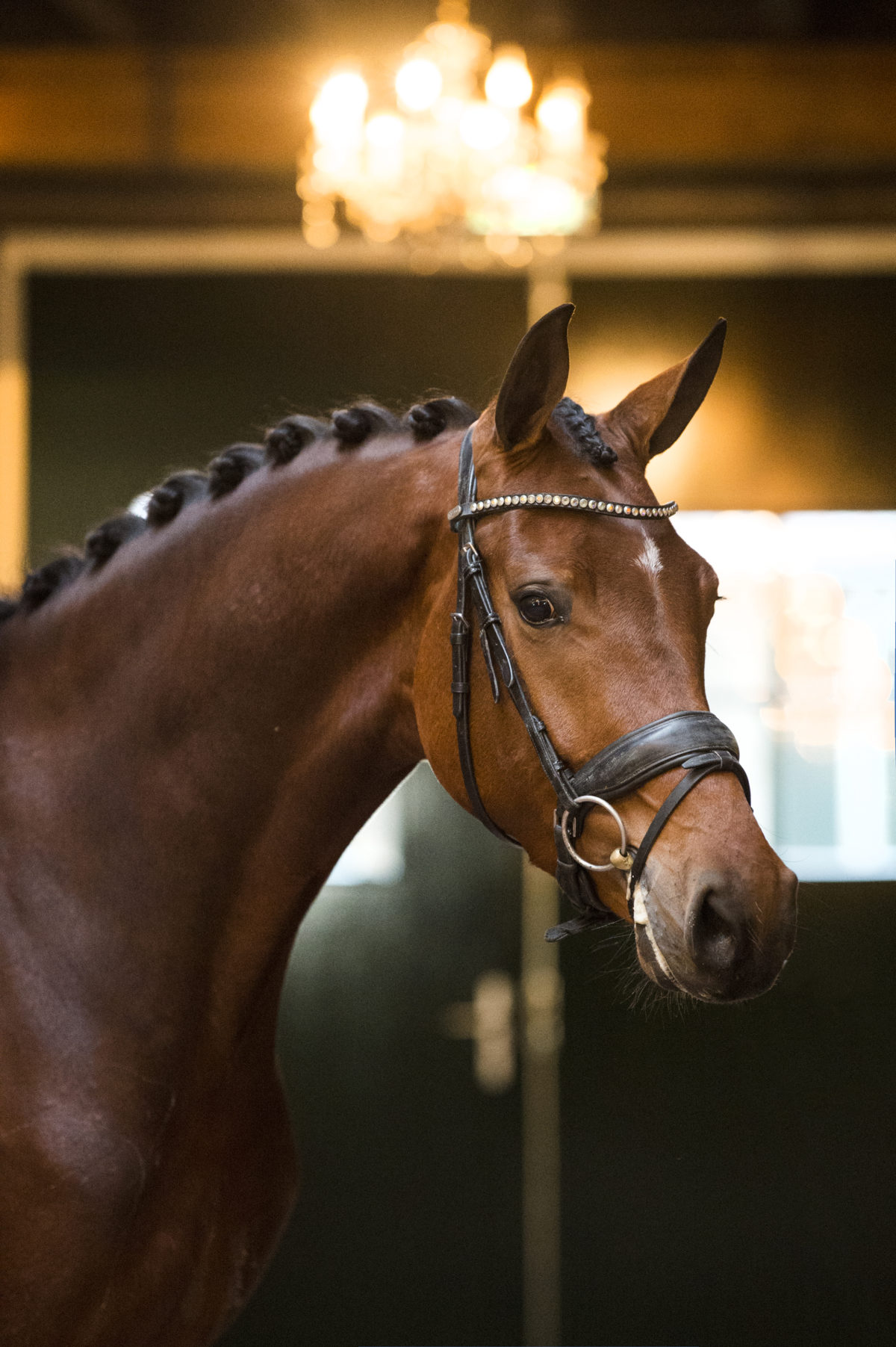 41. FranklinXSorento-1