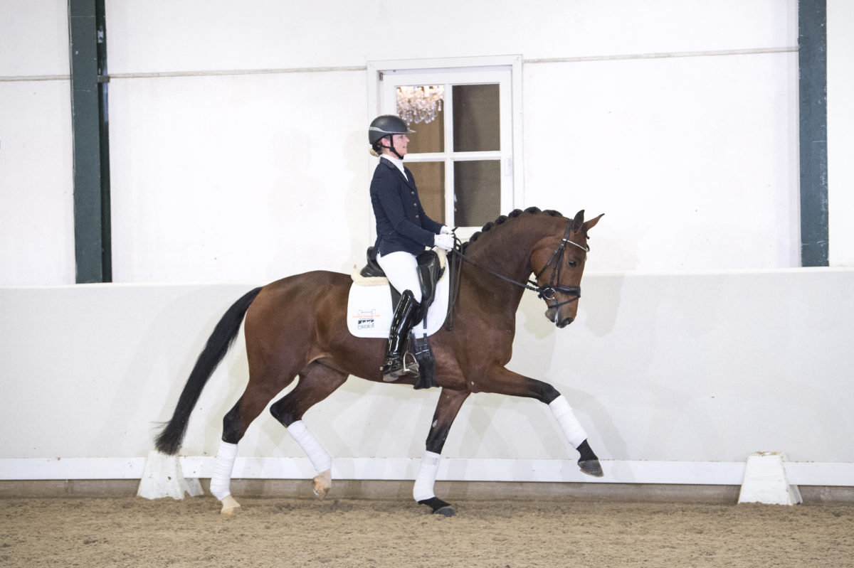 41. FranklinXSorento-4