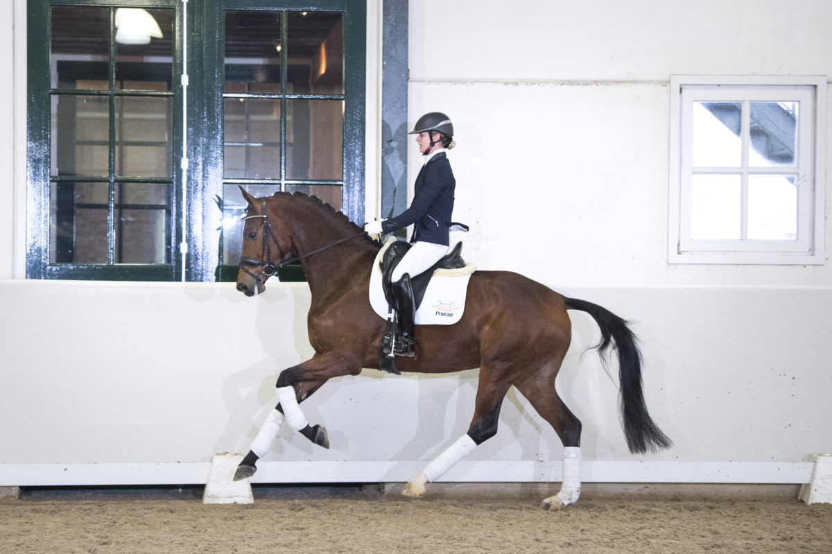 41. FranklinXSorento-7