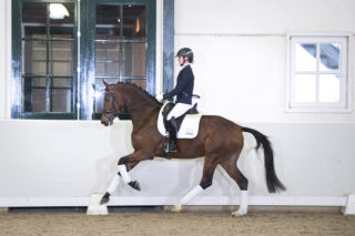 41. FranklinXSorento-7