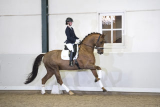 44. Honoree JazzXKrack C-11