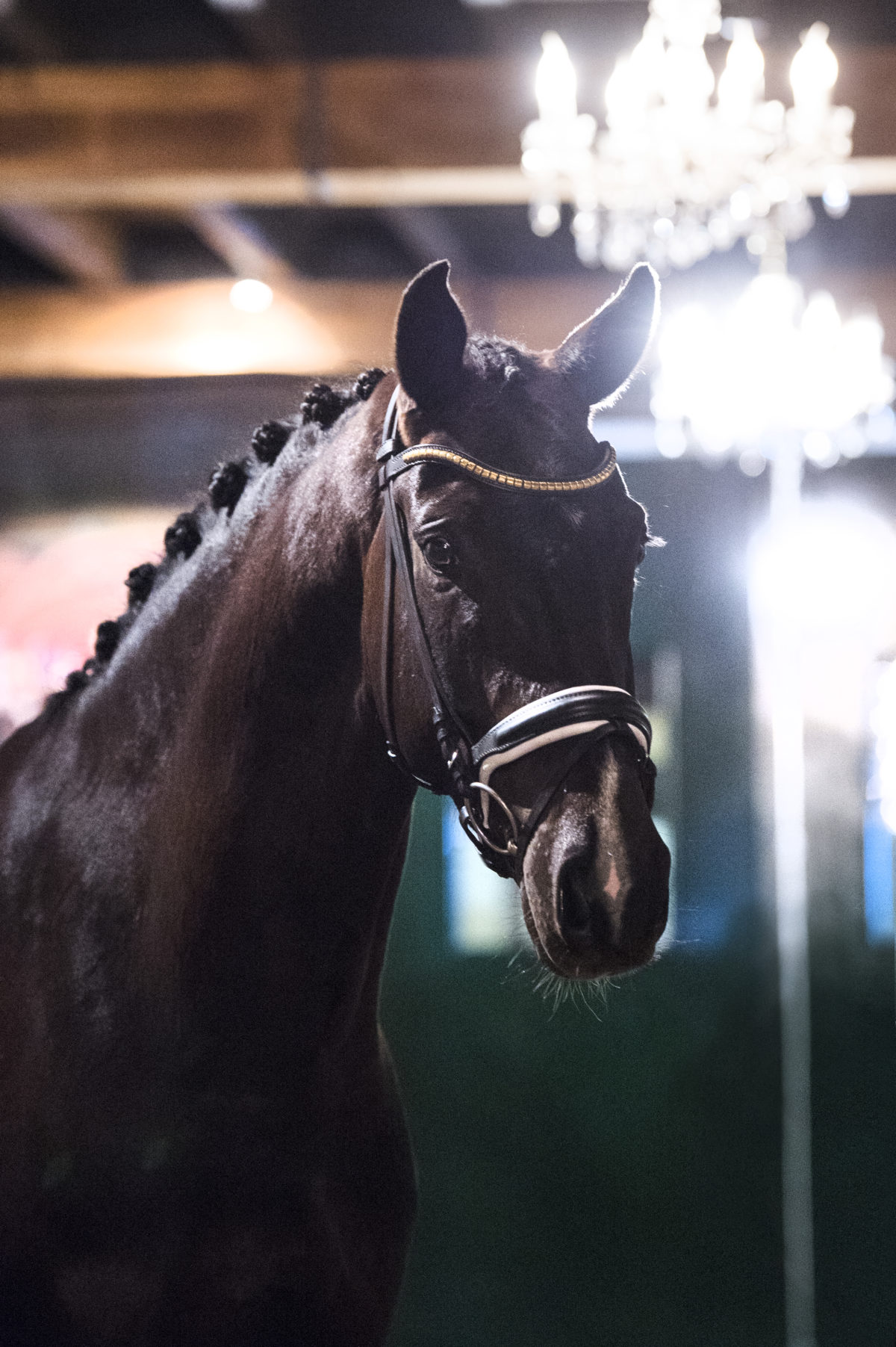 46. SezuanXRubinstein-1