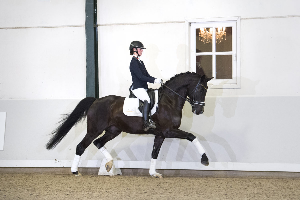 46. SezuanXRubinstein-5