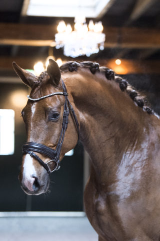 49. WyntonXRoyalDance-1