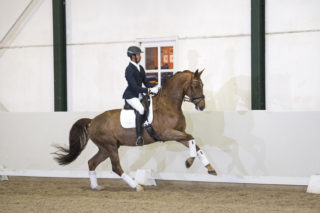 49. WyntonXRoyalDance-7