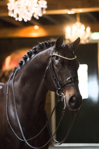 9. GribaldiXMichelangelo-1