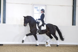 9. GribaldiXMichelangelo-4