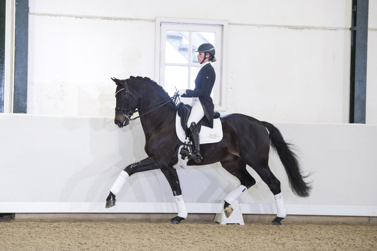 9. GribaldiXMichelangelo-4