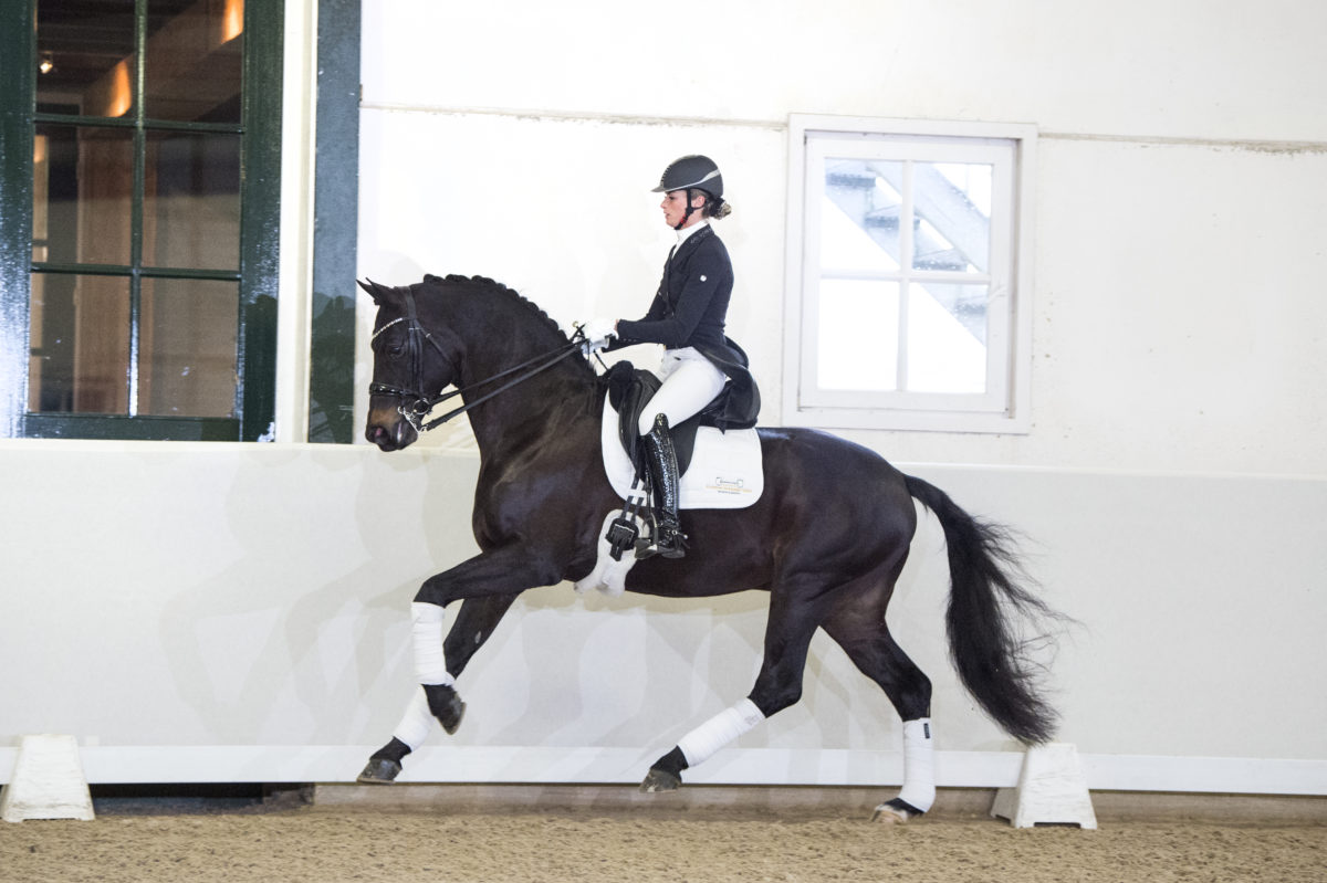 9. GribaldiXMichelangelo-5